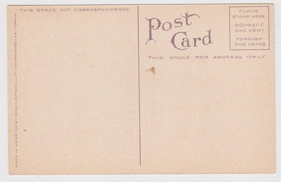 Washington Grammar School Petaluma California 1910's Postcard - TulipStuff