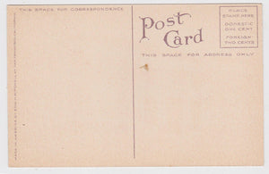 Washington Grammar School Petaluma California 1910's Postcard - TulipStuff