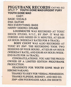 Youth Gone Mad / Urgent Fury 45 RPM Vinyl Record NY Punk 1991 - TulipStuff